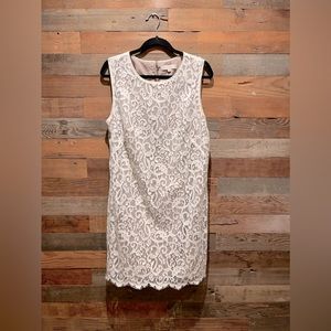 And Taylor Loft Cream Lace Dress
